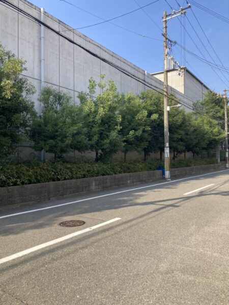 害虫が発生しやすい枝葉の茂った工場外周植栽の様子（Before）