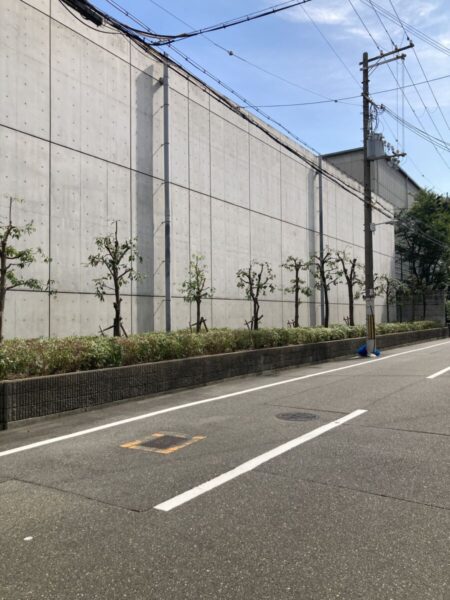 高木剪定と風通しの改善・即時清掃完了後の工場外周（After）