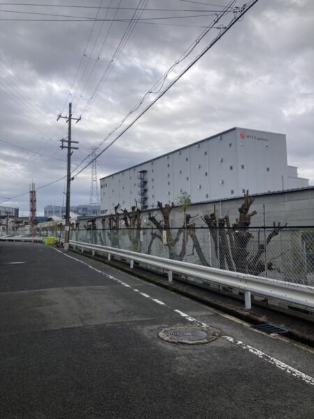 適正重量ベースの見積もりで見直しを行い剪定・即時清掃が完了した工場敷地（After）