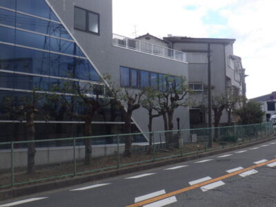 京都・大阪の工場敷地内における緑地管理・高木剪定の適正コスト見直し事例